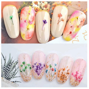 Decoración Naturaleza Muerta Para Uñas Paquete con 12 Sobres